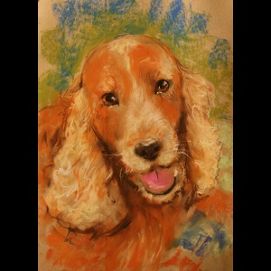 Portrait d'animal aux pastels secs