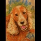 Portrait d'animal aux pastels secs