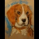 Portrait d'animal aux pastels secs